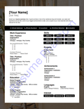 Executive Blank Resume Template (7 Variant Colors Available)