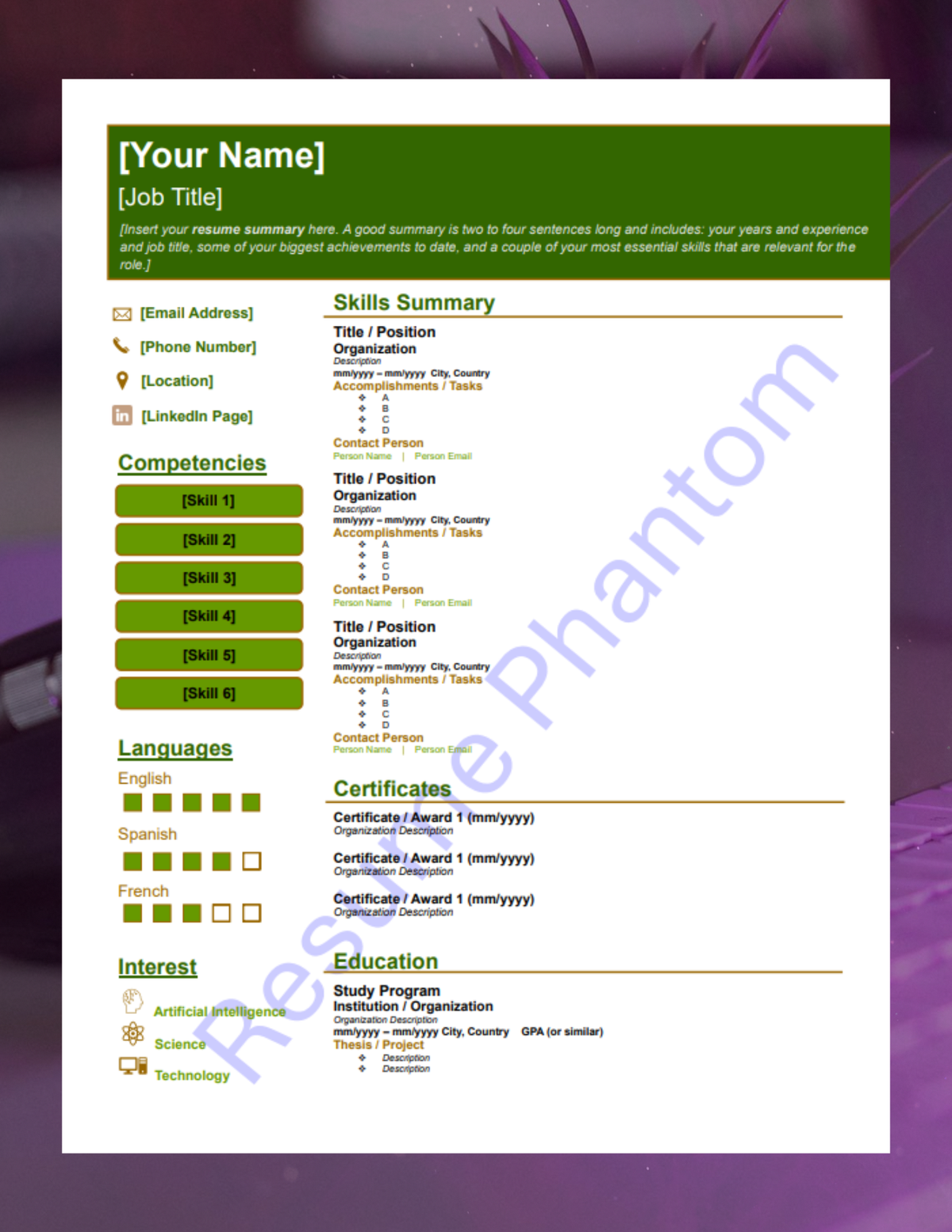 Functional Blank Resume Template (7 Variant Colors Available)