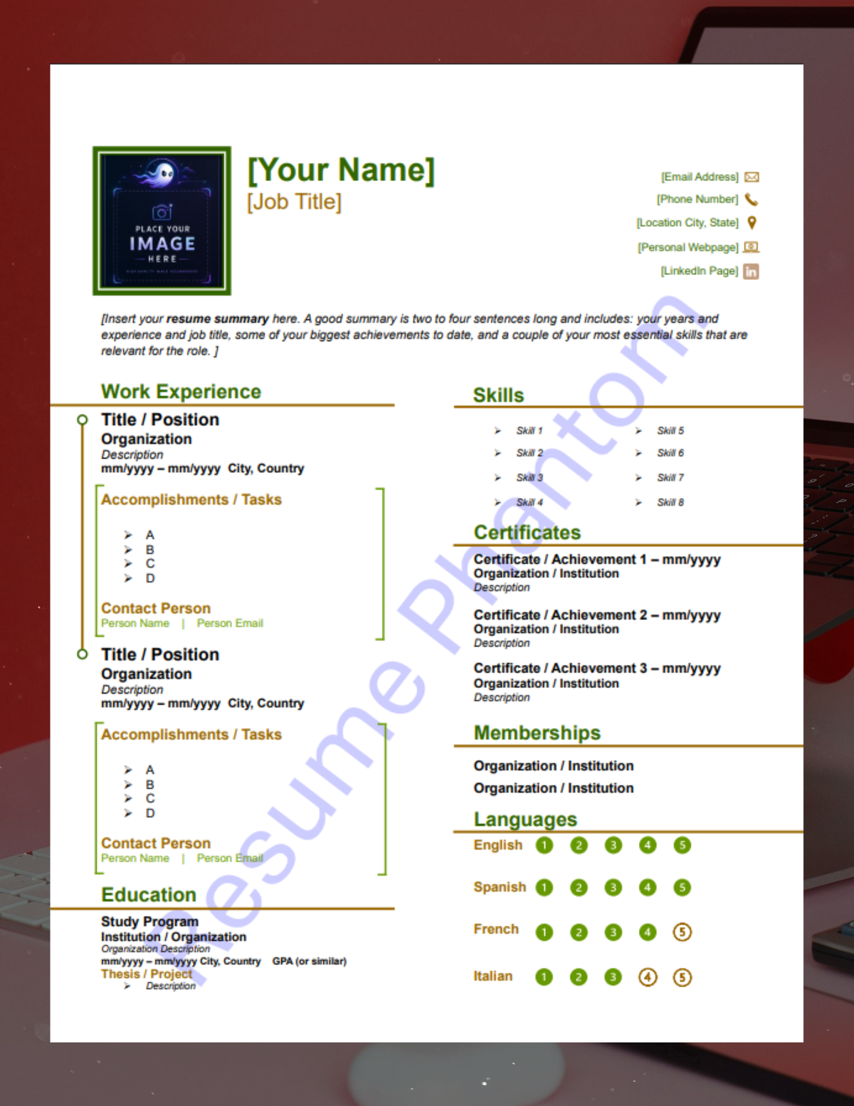 Modern Blank Resume Template (7 Variant Colors Available)
