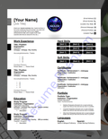 Professional Blank Resume Template (7 Variant Colors Available)